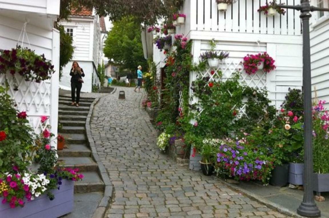 Historical Apartments In The Heart Of The Old Town Stavanger Buitenkant foto